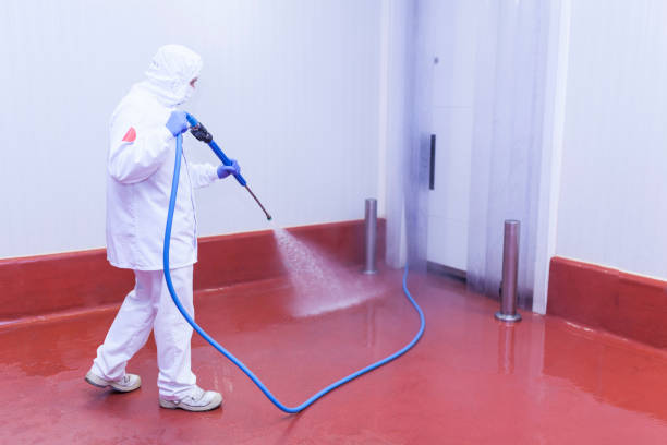 Reliable Lindenwold, NJ Pressure Washing Services Solutions